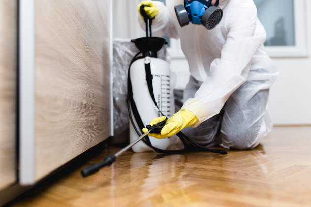 Best Residential Pest Control  in Vineyard Haven, MA