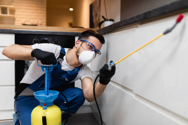 Best Commercial Pest Control Services  in Vineyard Haven, MA