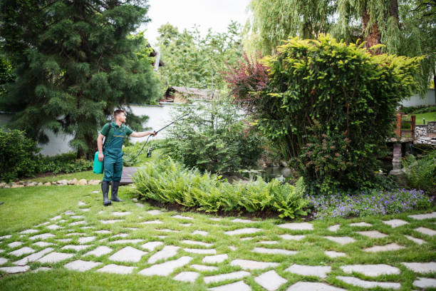 Best Pest Control for Homes  in Vineyard Haven, MA