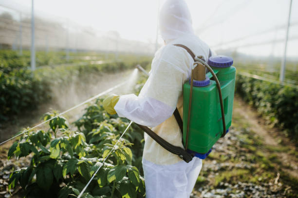 Best Best Pest Control Companies  in Vineyard Haven, MA